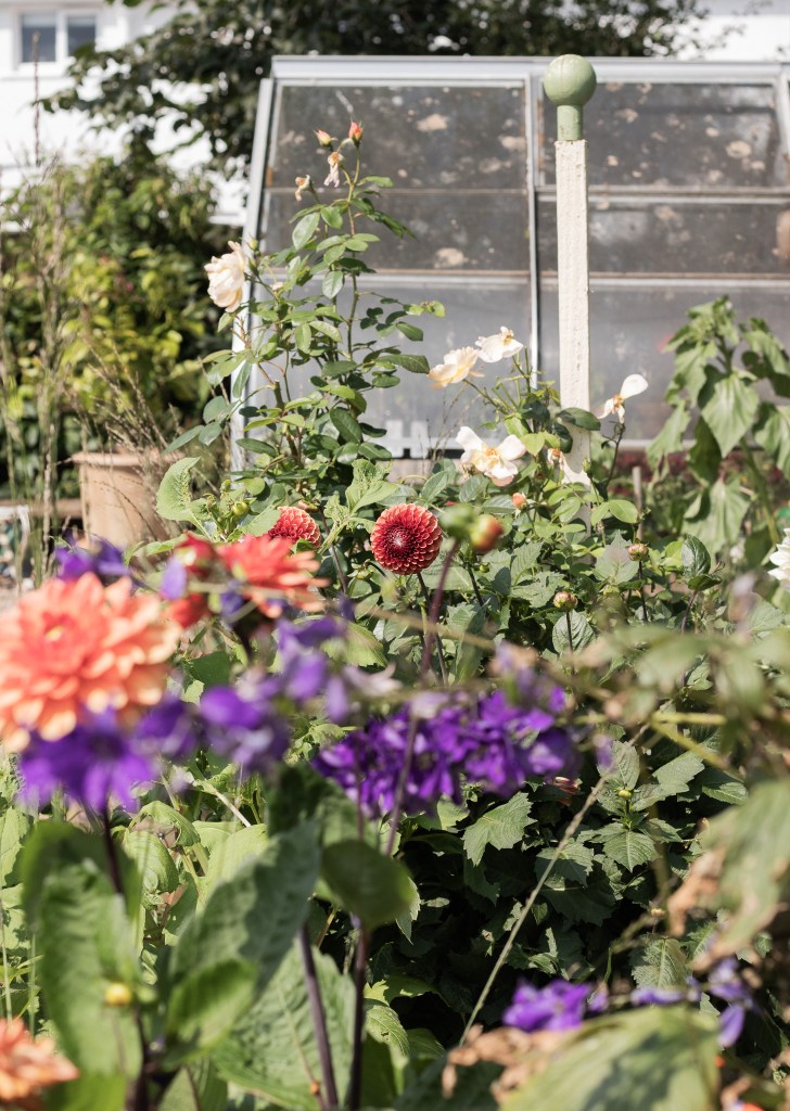 The garden surrounding Portland Avenue Lifestyle's retail studio