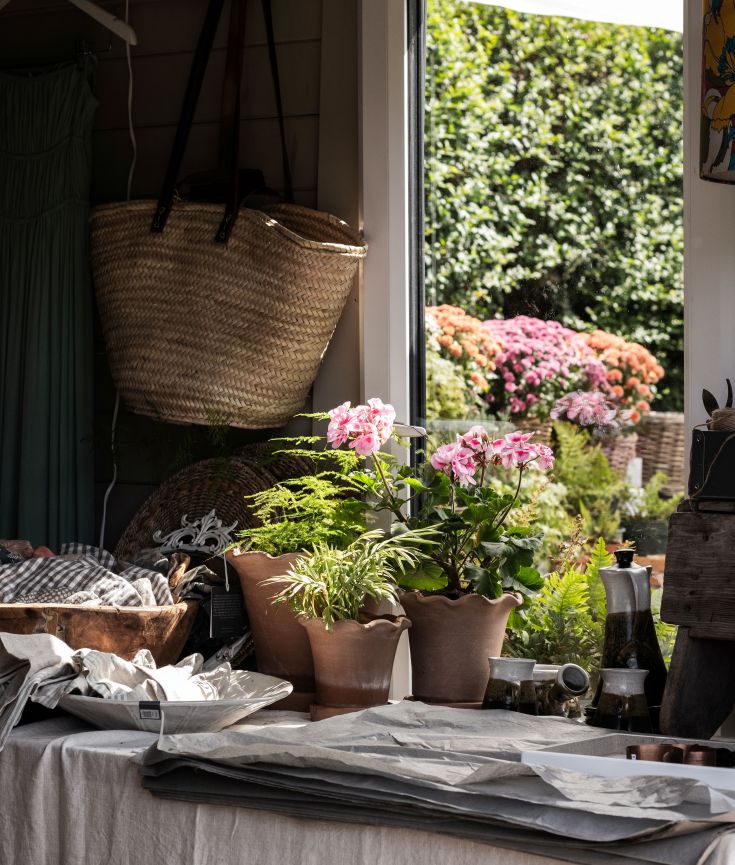 Natural photography of a small business workspace with plants and flowers in Northern Ireland