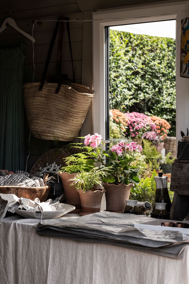 Natural photography of a small business workspace with plants and flowers in Northern Ireland