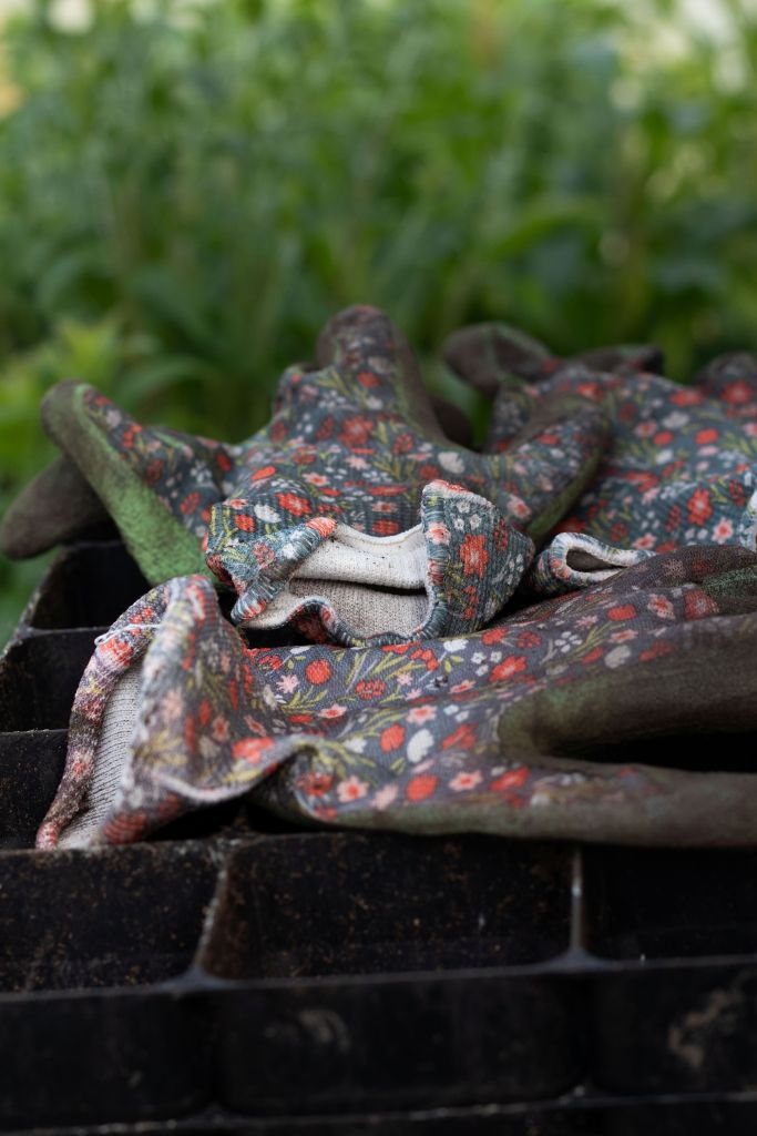 Gardening gloves in Mrs Bloom's polytunnel